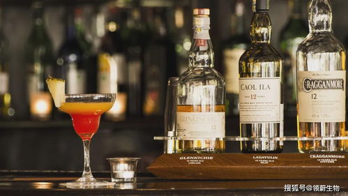 科技部警示 酒精是一類致癌物，小酌亦傷身